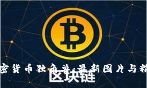 探索加密货币独角兽：最新图片与精彩故事
