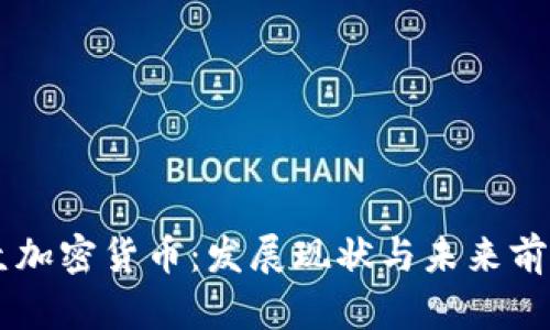 巴拉圭加密货币：发展现状与未来前景解析