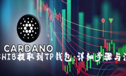 如何将SHIB提取到TP钱包：详细步骤与注意事项