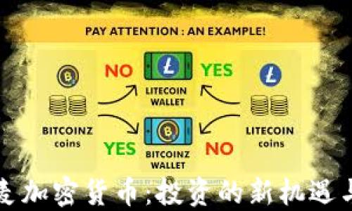 
艾迪麦加密货币：投资的新机遇与挑战