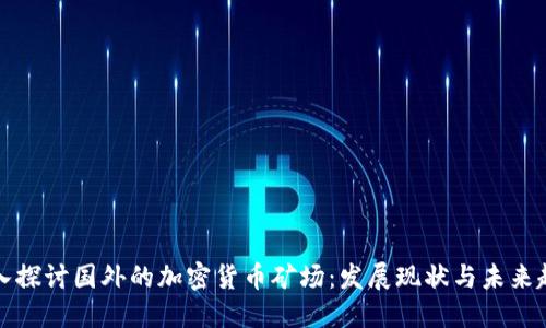 深入探讨国外的加密货币矿场：发展现状与未来趋势