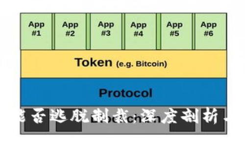 精准的  
加密货币能否逃脱制裁：深度剖析与未来展望
