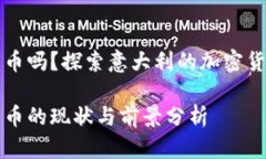 意大利支持加密货币吗？