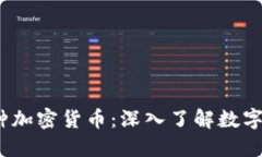 探索1000种加密货币：深入