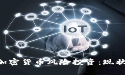 深入探讨美加密货币风险投资：现状、挑战与未来