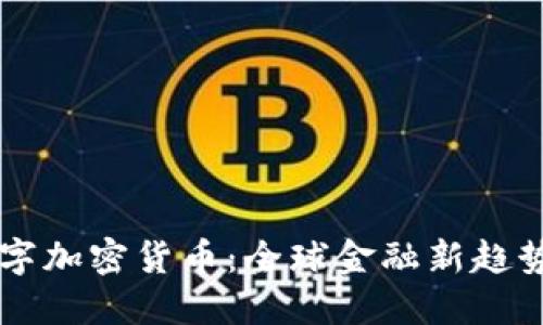 国际落地数字加密货币：全球金融新趋势的未来展望