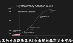 TP钱包里的币是涨还是跌？