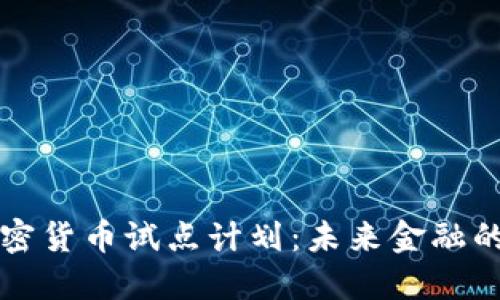 美国加密货币试点计划：未来金融的实验场