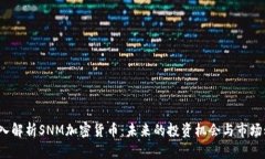  深入解析SNM加密货币：未来的投资机会与市场动