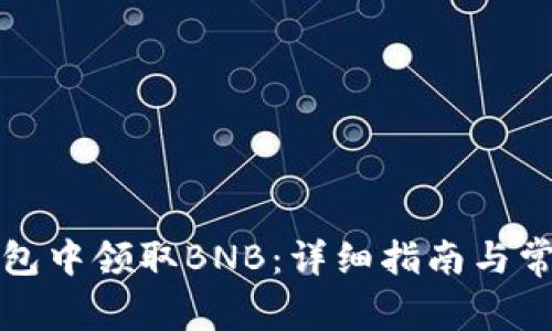 如何在TP钱包中领取BNB：详细指南与常见问题解答