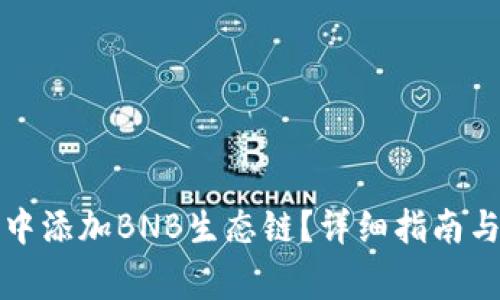 如何在TP钱包中添加BNB生态链？详细指南与常见问题解答