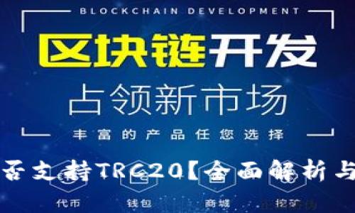 TP钱包是否支持TRC20？全面解析与用户指南