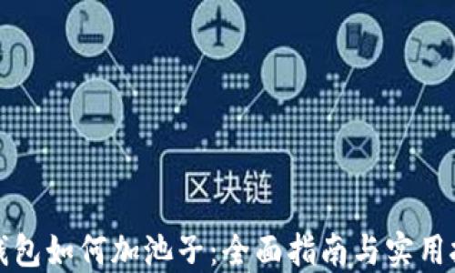 
TP钱包如何加池子：全面指南与实用技巧