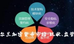 深入探讨爱尔兰加密货币